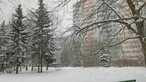 Beautiful snowfall in Moscow 스톡 동영상 148658299