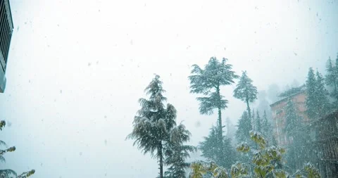 Beautiful snowfall at town Stock-Footage 153382745