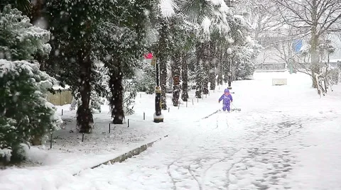 Beautiful snowfall in the tropics Stock Footage 55809739