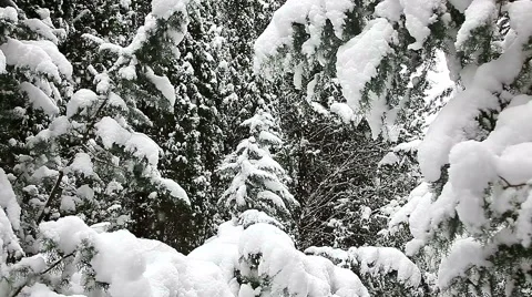 Beautiful snowfall in the tropics Stock-Footage 55810259