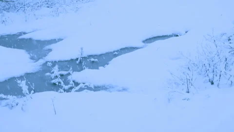Beautiful snowfall in a winter forest. Stockbeeldmateriaal 114792130