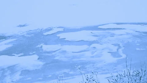 Beautiful snowfall in a winter forest. Stock Footage 114803819