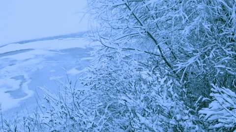 Beautiful snowfall in a winter forest. Vídeos de archivo 114806655