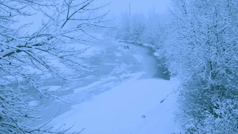 Beautiful snowfall in a winter forest. 스톡 동영상 114809873