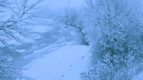 Beautiful snowfall in a winter forest. Vídeos de archivo 114811432