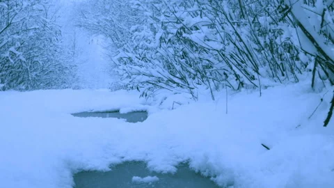 Beautiful snowfall in a winter forest. 스톡 동영상 114859008