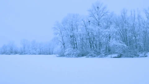 Beautiful snowfall in a winter forest. 스톡 동영상 114884723