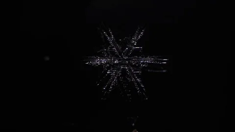 Beautiful snowflake on a black background Stock Footage 79411364