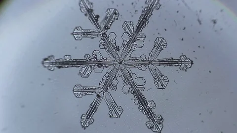 Beautiful snowflake branches is disappear by the time Stock Footage 72741899