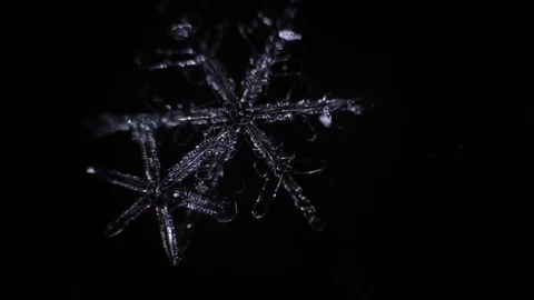 Beautiful snowflake branches is disappear by the time Stock Footage 75611072