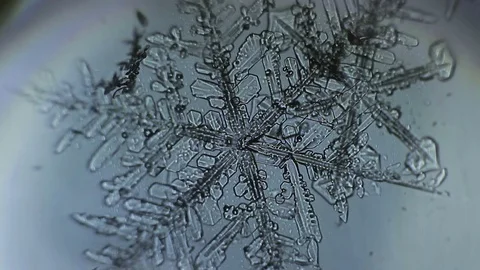 Beautiful snowflake on a light background Stock Footage 72788363
