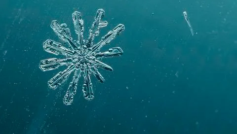 Beautiful snowflake macro Stock Photos