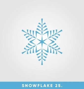 Beautiful snowflake vector illustration 스톡 일러스트
