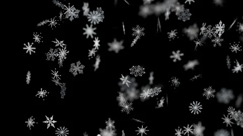 Beautiful Snowflakes Falling Winter Overlay Black Background Vídeo Stock 344689863