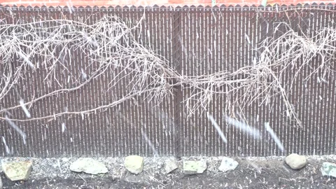 Beautiful snowing 스톡 동영상 133917092