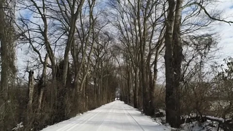 A beautiful, snowy, cold looking winter scene in south central Kentucky Stock-Footage 342085378