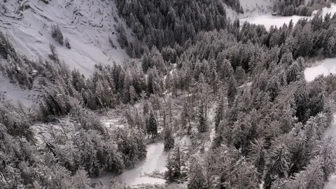 Beautiful Snowy Trees Italian Dolomites Aerial Drone Footage Stock Footage