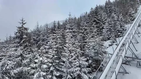 A beautiful Snowy Winter Landscape featuring Evergreen Trees all around Stock Footage 303627081