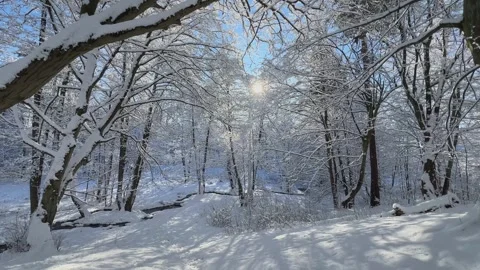 A Beautiful Snowy Winter Landscape Featuring Sunlight Filtering Gently Through Vídeos de archivo 326624184
