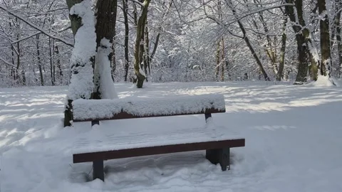 A Beautiful Snowy Winter Scene Featuring a Bench Situated in a Quiet and Serene Stock Footage 312437662