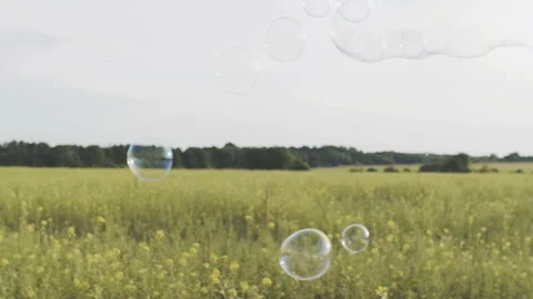 Beautiful soap bubbles fly over the field. Slow motion. HD 스톡 동영상 92194516