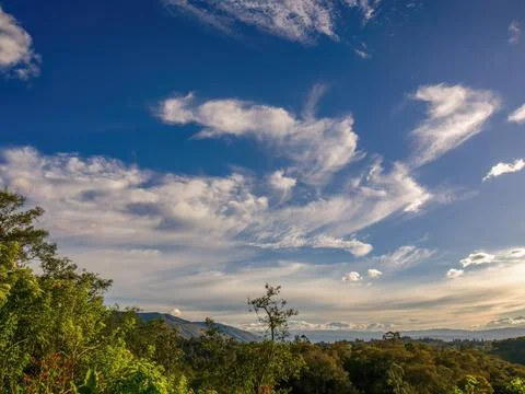 Beautiful soft clouds floating over the eastern Andean forests and mountains  Stock Photos