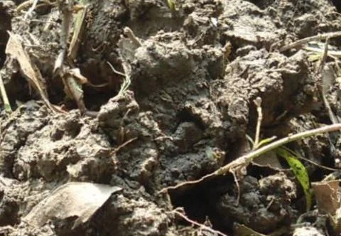 Beautiful soil Stock Photos