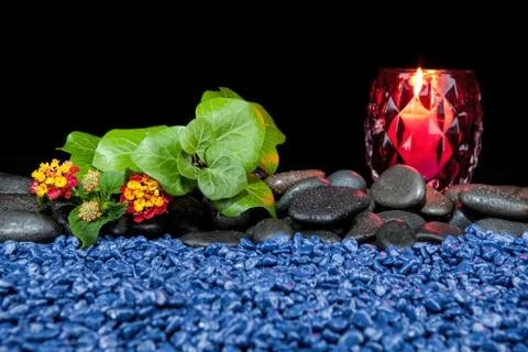 Beautiful spa composition on a black background Stock Photos
