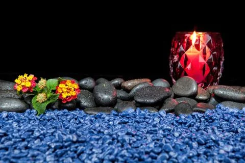 Beautiful spa composition on a black background Stock Photos