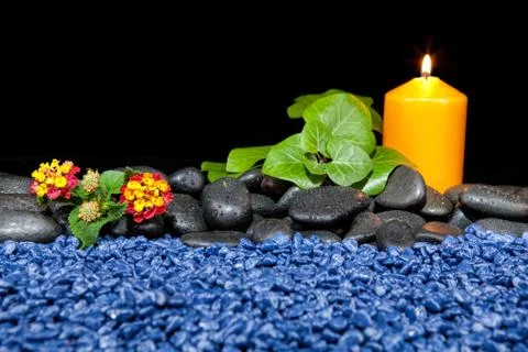 Beautiful spa composition on a black background Stock Photos