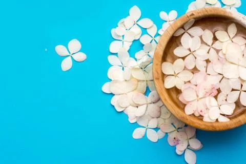 Beautiful spa composition on massage table in wellness center Stock Photos