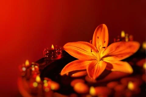 Beautiful spa composition Stock Photos
