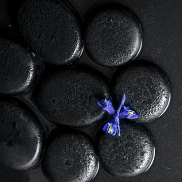 Beautiful spa concept top down of iris flower and black zen stones on water Stock Photos