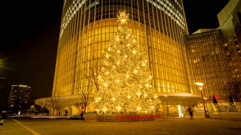 Beautiful sparkling Christmas tree. Video stock 145348967