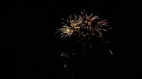 Beautiful sparkling fireworks exploding on dark sky Stock Footage 282780753