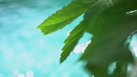 Beautiful sparkling shiny texture of blurry blue water with sun reflected on Stock Footage 134360859