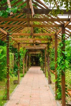 Beautiful  spice garden in Pattaya Thailand Stock Photos