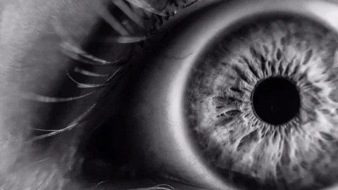 Beautiful spinning eye cinemagraph plotagraph Stock Footage 95659337