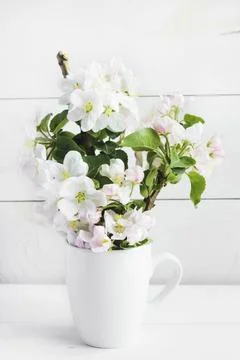 A beautiful sprig of an apple tree with white flowers in a cap Stock Photos