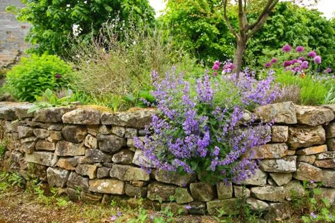 Beautiful sprign garden Stock Photos