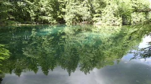 A Beautiful Spring, 4k Timelapse, Summer Vidéo 79920190