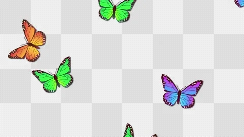 Beautiful spring and summer design animation with butterflies with ALPHA CHANNEL Vidéo 149978964