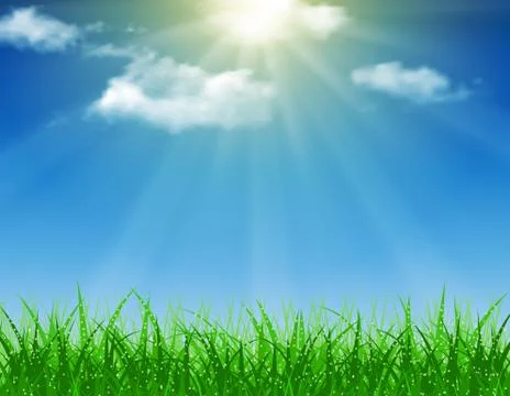 Beautiful  Spring background Stock-Illustration