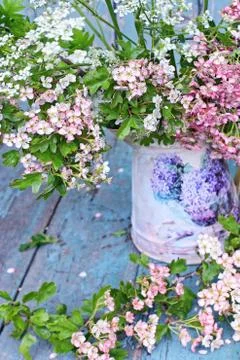 Beautiful spring blossom background Stock Photos