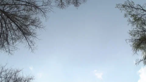 Beautiful Spring Blue Sky With Trees, Nature, Branches, Spinning Shot 3 Stock-Footage 37027969