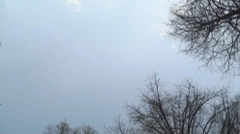 Beautiful Spring Blue Sky With Trees, Nature, Branches, Spinning Shot 4 Stock Footage 37028028