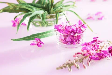 Beautiful spring composition of fresh willow-herb flowers and leaves Stock Photos