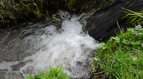 Beautiful spring creek 動画素材 49311591