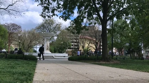 Beautiful Spring Day in DC Stock Footage 89678295