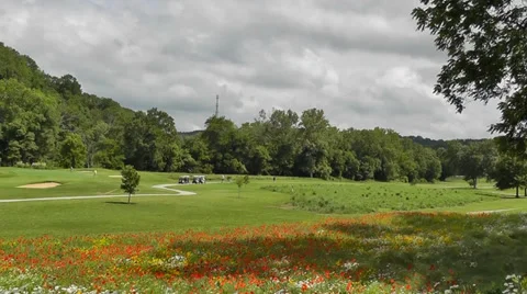 Beautiful Spring Day on the Golf Course w Wildflowers 스톡 동영상 39015353